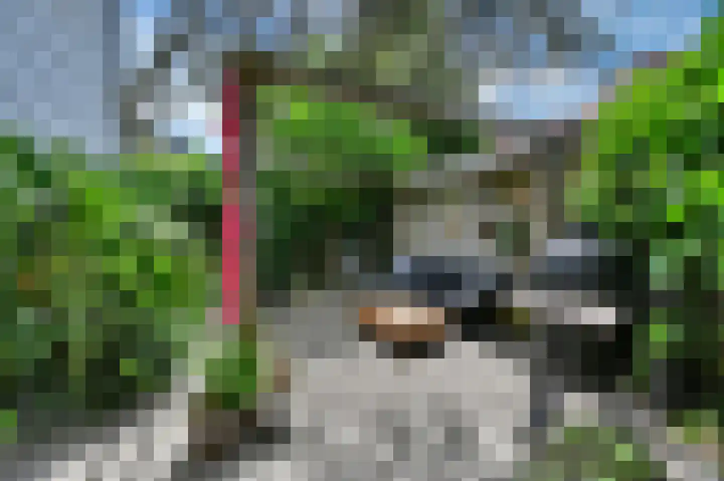 Forelvijver 4 Den Haag thumbnail 19