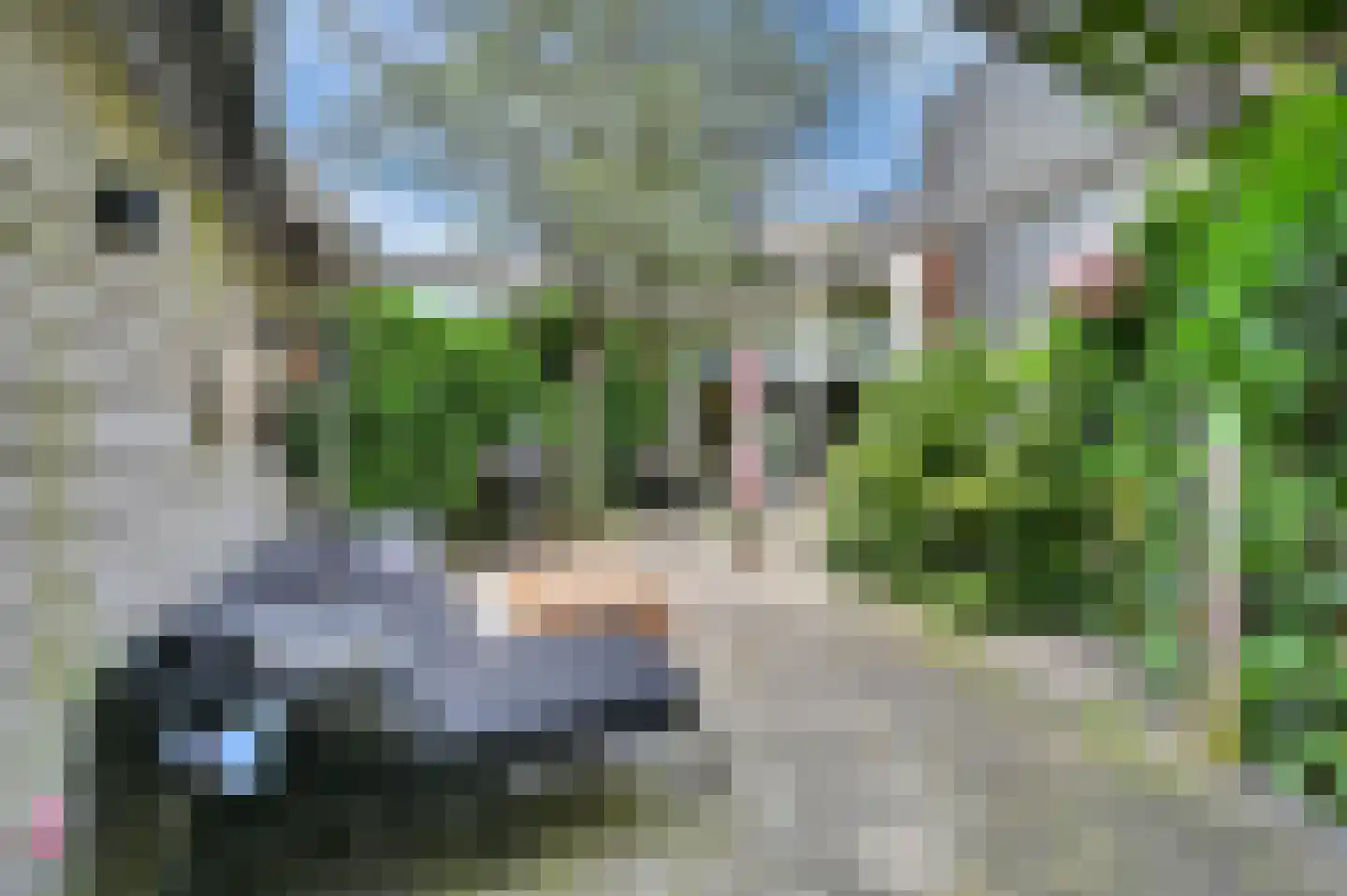 Forelvijver 4 Den Haag thumbnail 20