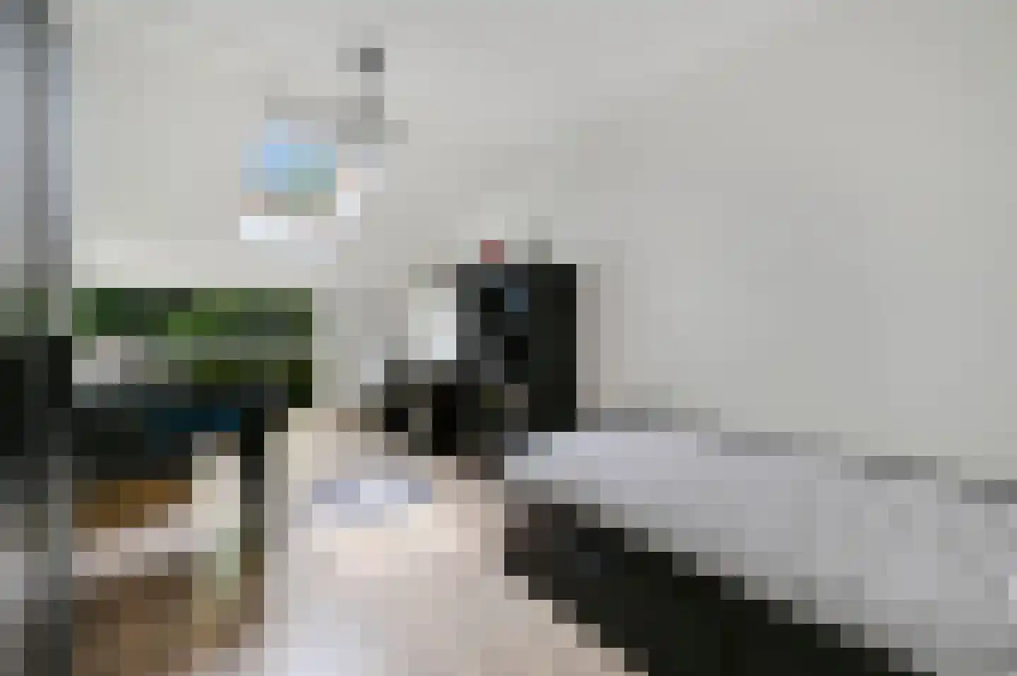 Forelvijver 4 Den Haag thumbnail 28