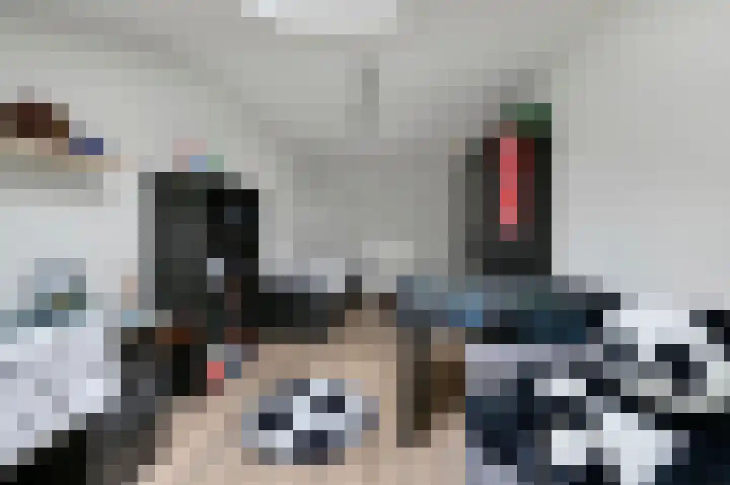 Forelvijver 4 Den Haag thumbnail 30