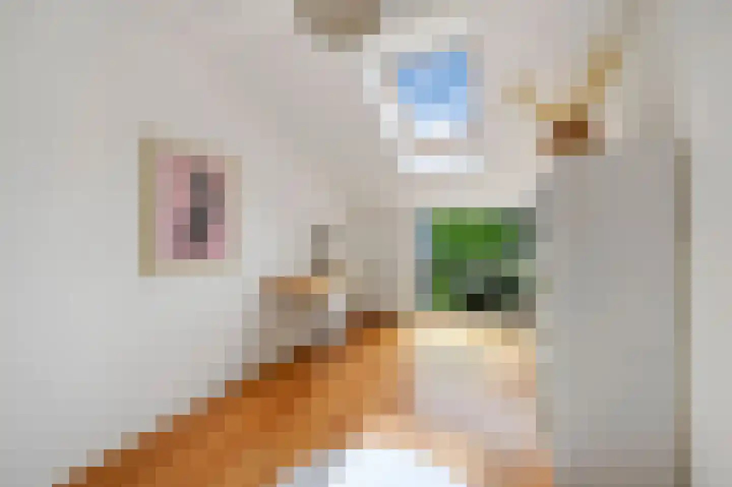 Forelvijver 4 Den Haag thumbnail 31