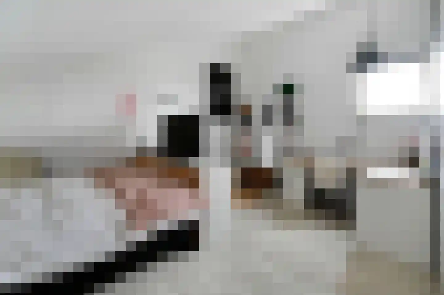Forelvijver 4 Den Haag thumbnail 34