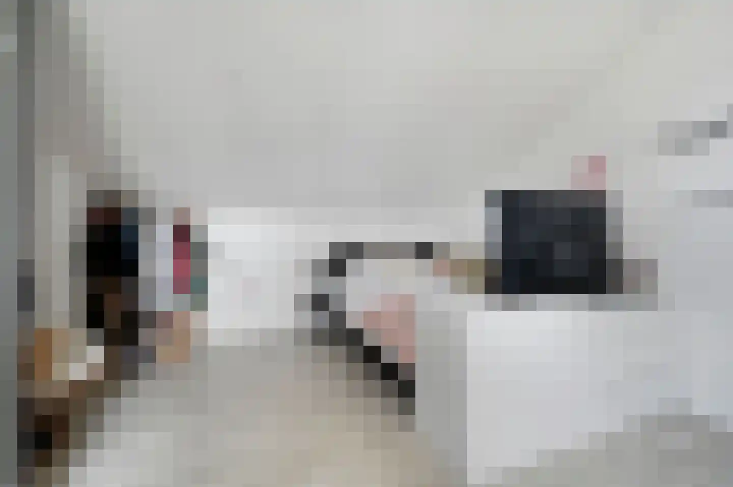 Forelvijver 4 Den Haag thumbnail 35