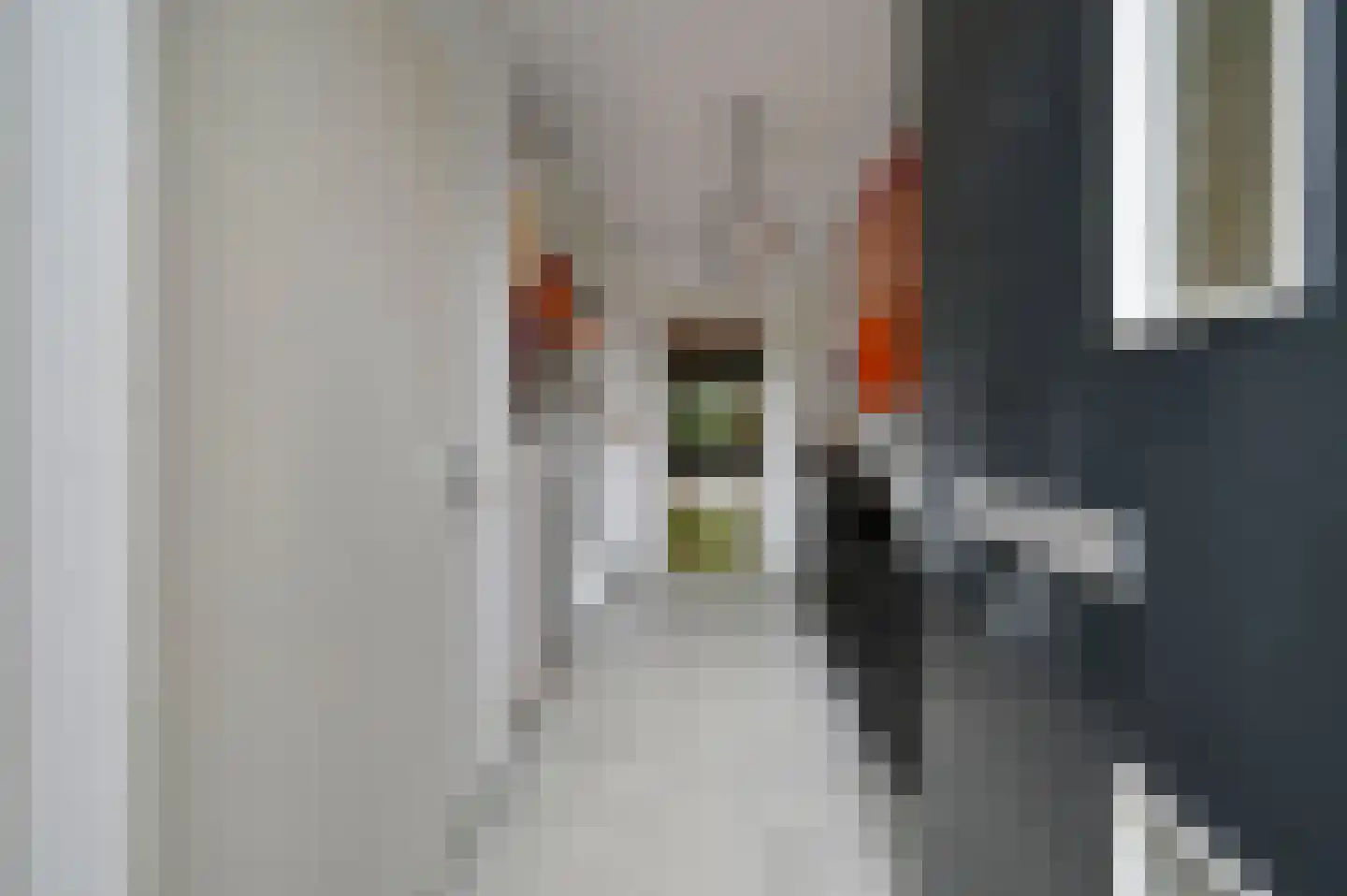 Forelvijver 4 Den Haag thumbnail 5