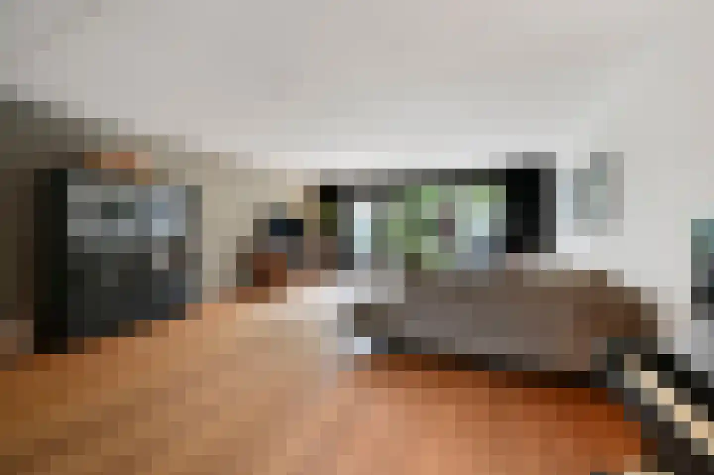 Forelvijver 4 Den Haag thumbnail 9