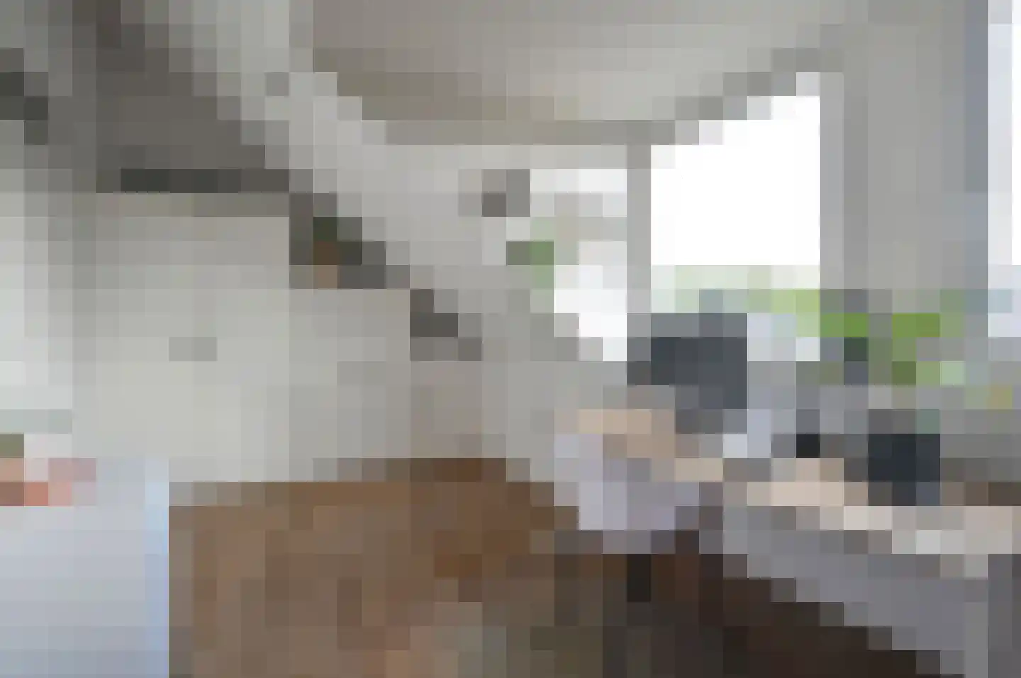 Forelweg 3 Eemnes thumbnail 18