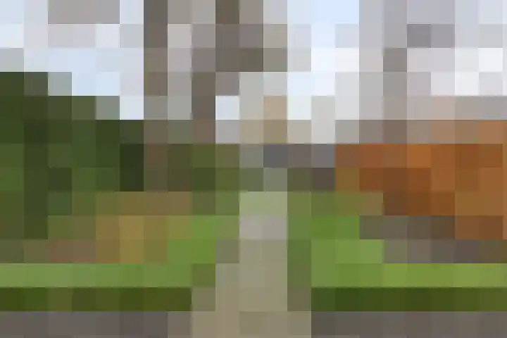 Forint 13 Dronten thumbnail 22