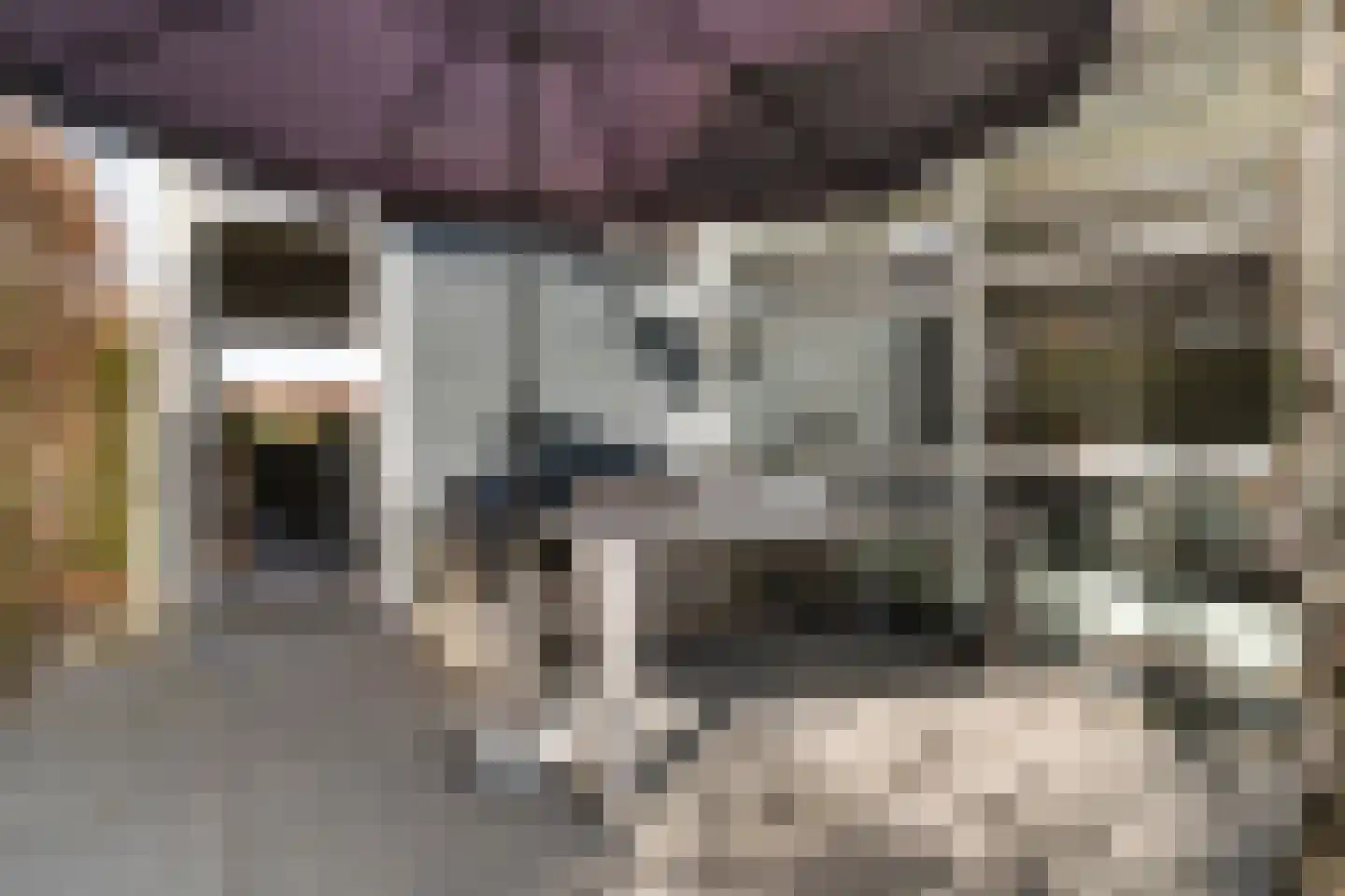 Forint 13 Dronten thumbnail 29