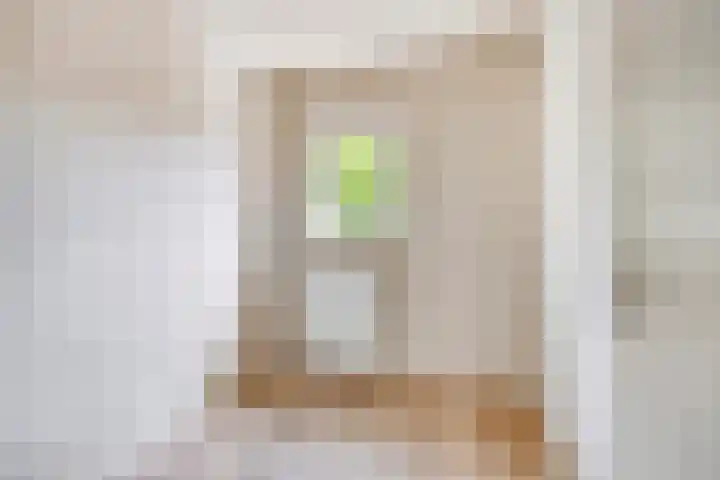 Forint 13 Dronten thumbnail 39
