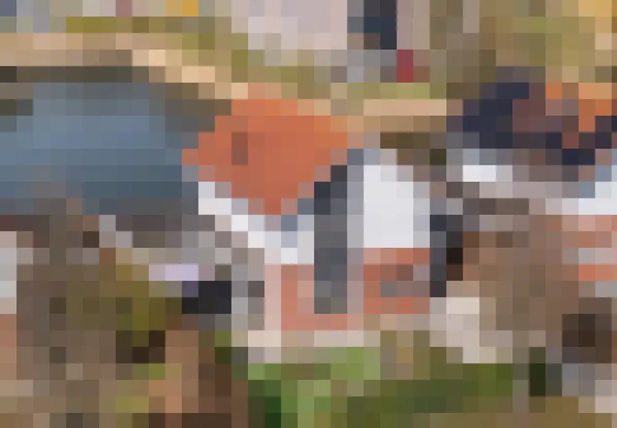 Forint 13 Dronten thumbnail 42