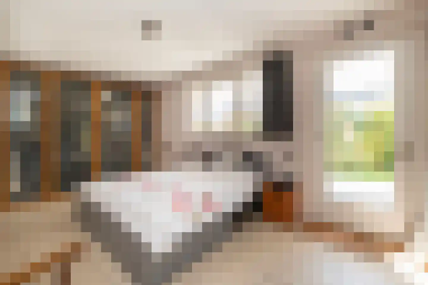Forint 38 Dronten thumbnail 14