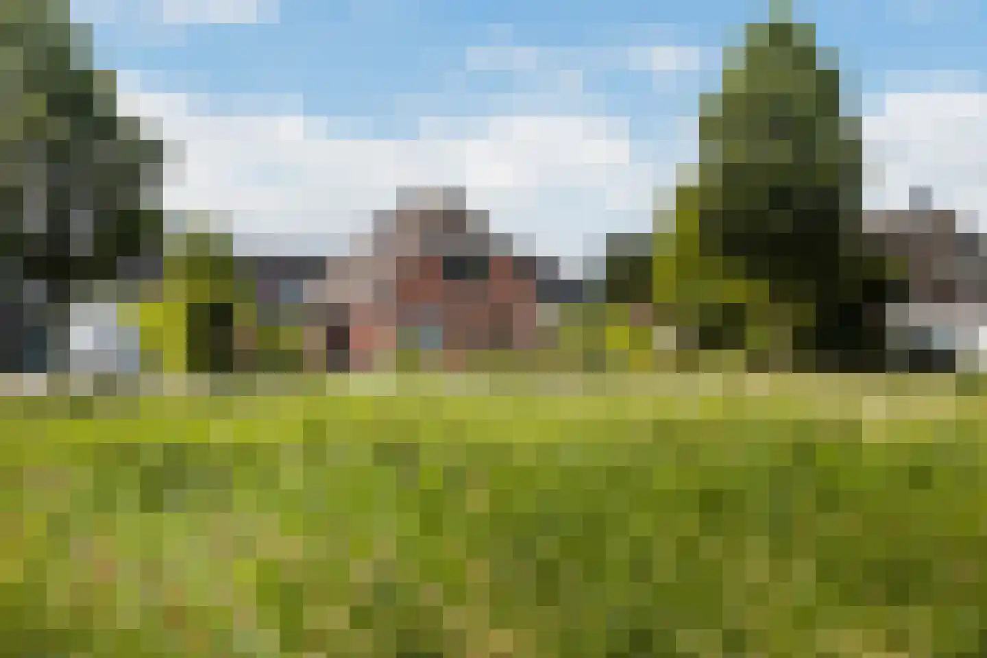Forint 38 Dronten thumbnail 30