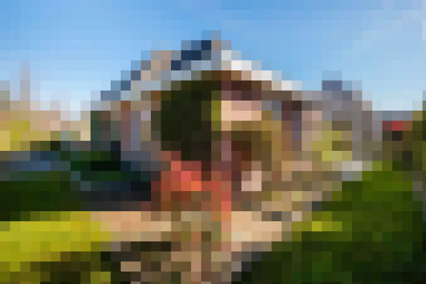 Forint 38 Dronten thumbnail 30