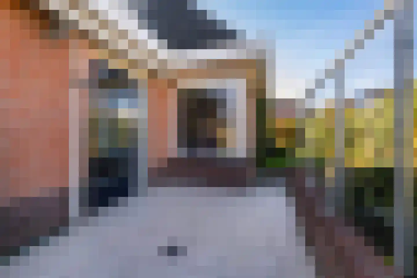 Forint 38 Dronten thumbnail 32