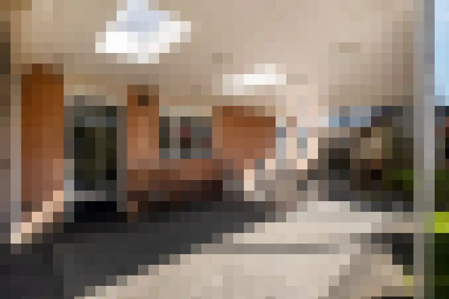 Forint 38 Dronten thumbnail 32