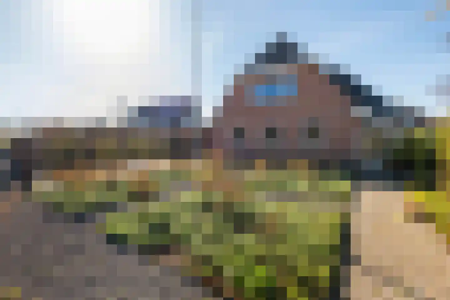 Forint 38 Dronten thumbnail 33