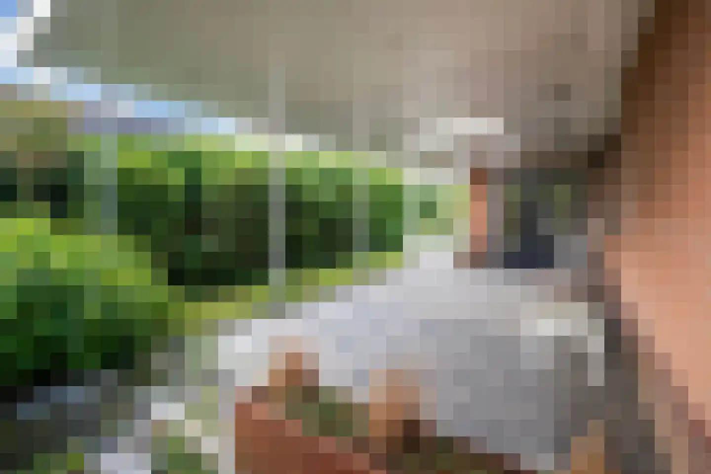 Forint 38 Dronten thumbnail 33