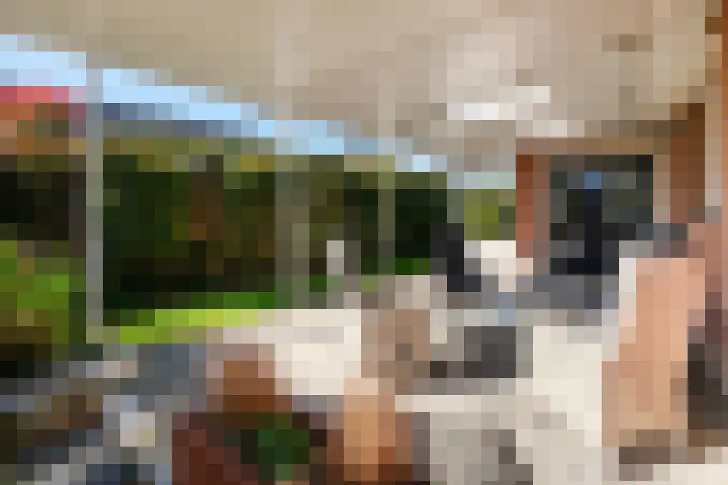 Forint 38 Dronten thumbnail 34