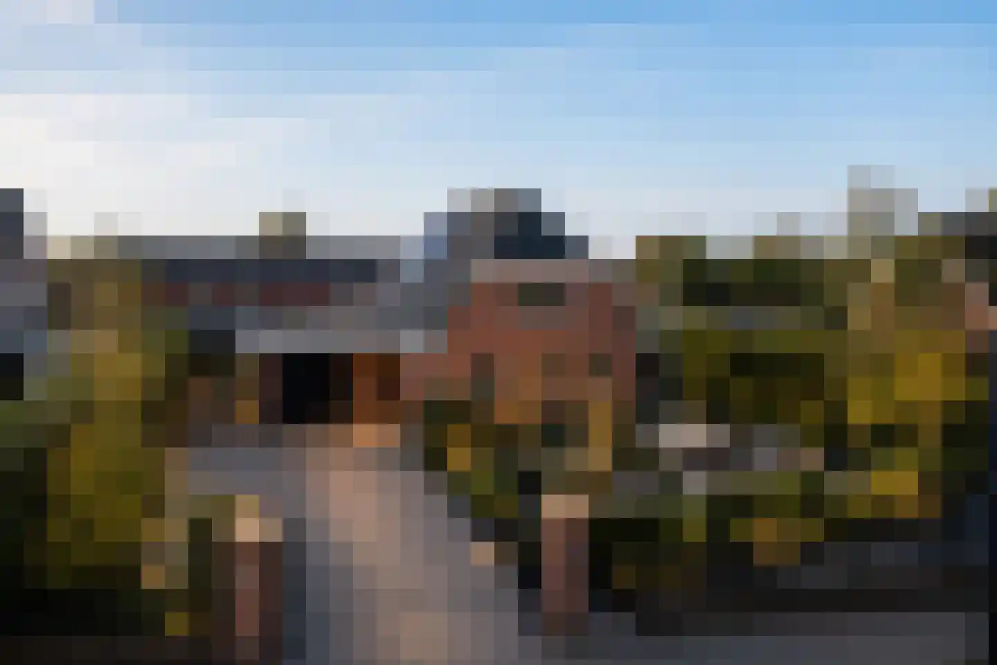 Forint 38 Dronten thumbnail 37