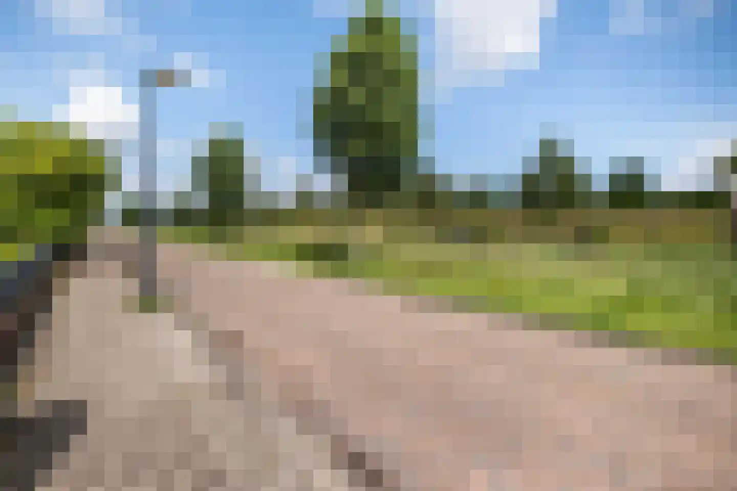 Forint 38 Dronten thumbnail 42