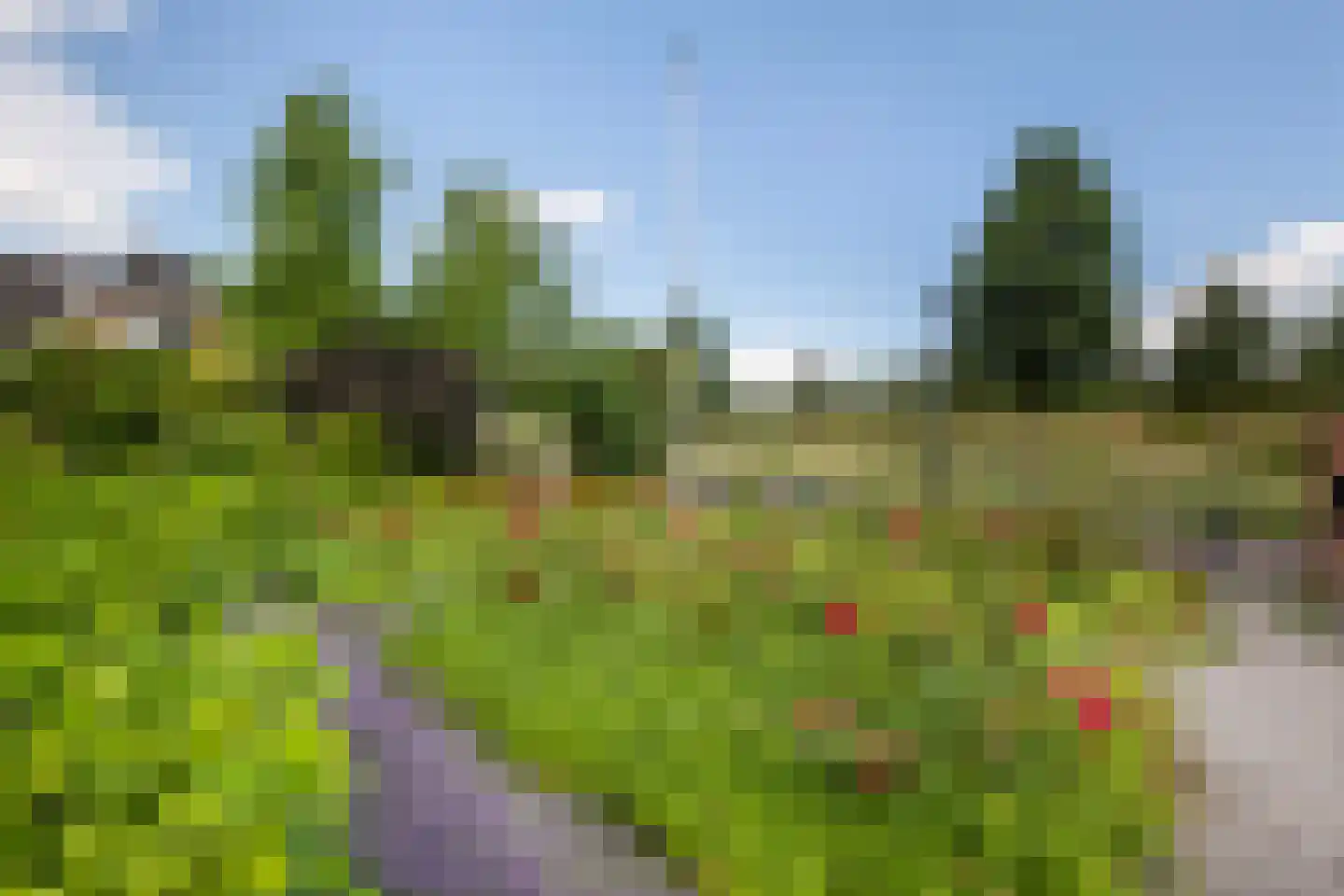 Forint 38 Dronten thumbnail 5