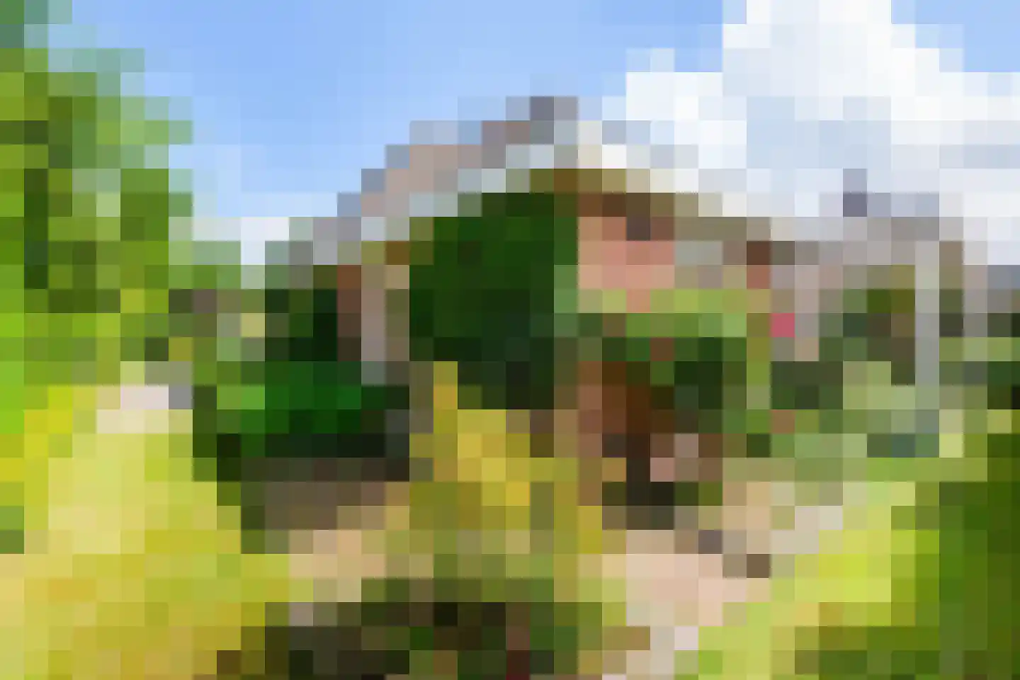 Forint 38 Dronten thumbnail 6