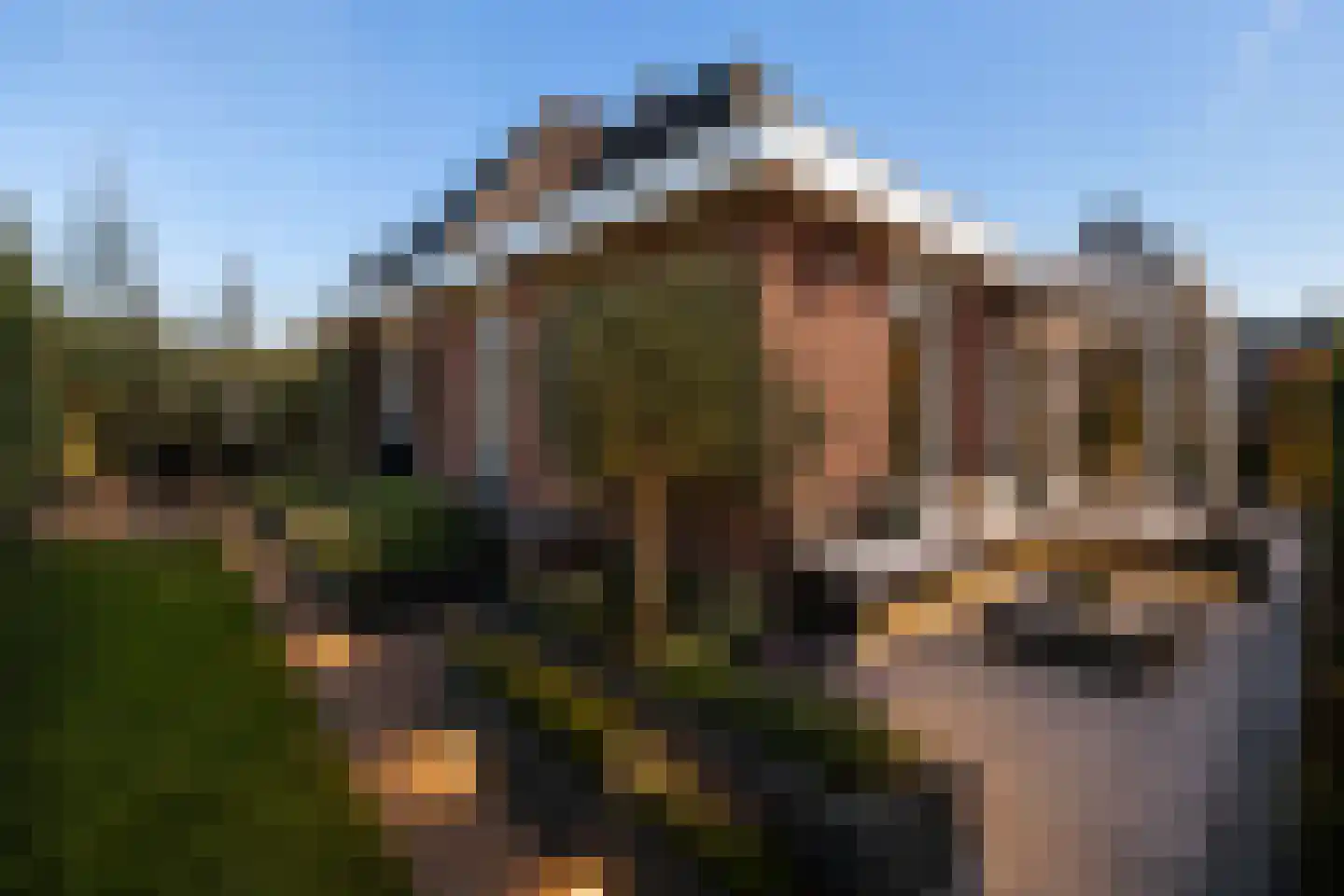 Forint 38 Dronten thumbnail 7