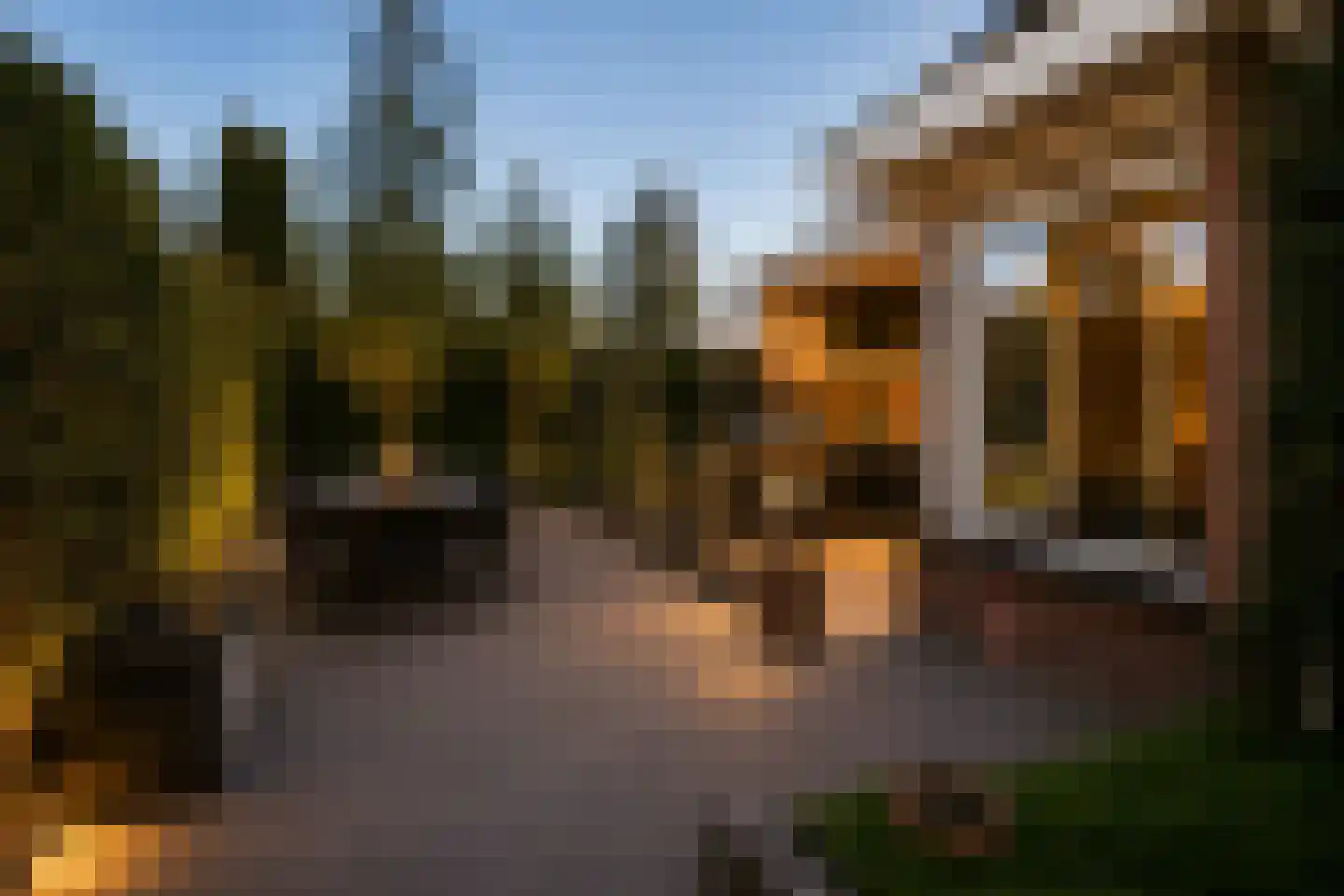 Forint 38 Dronten thumbnail 8