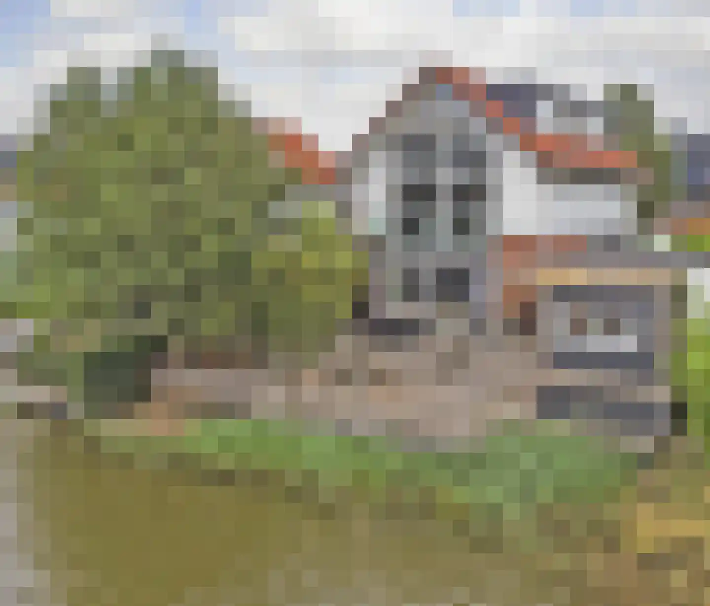 Forint 5 Dronten