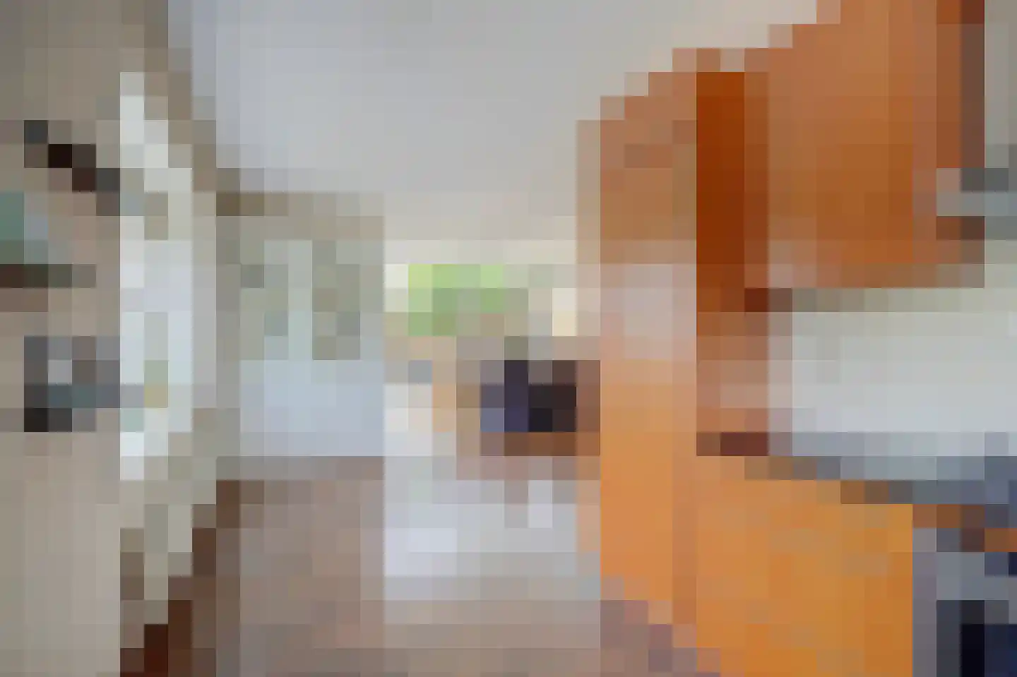 Forint 5 Dronten thumbnail 13