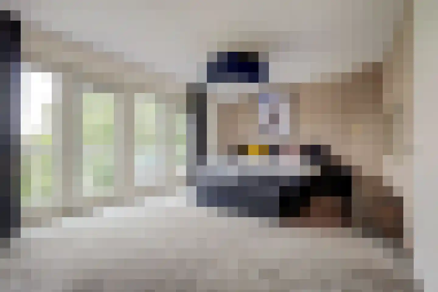 Forint 5 Dronten thumbnail 16