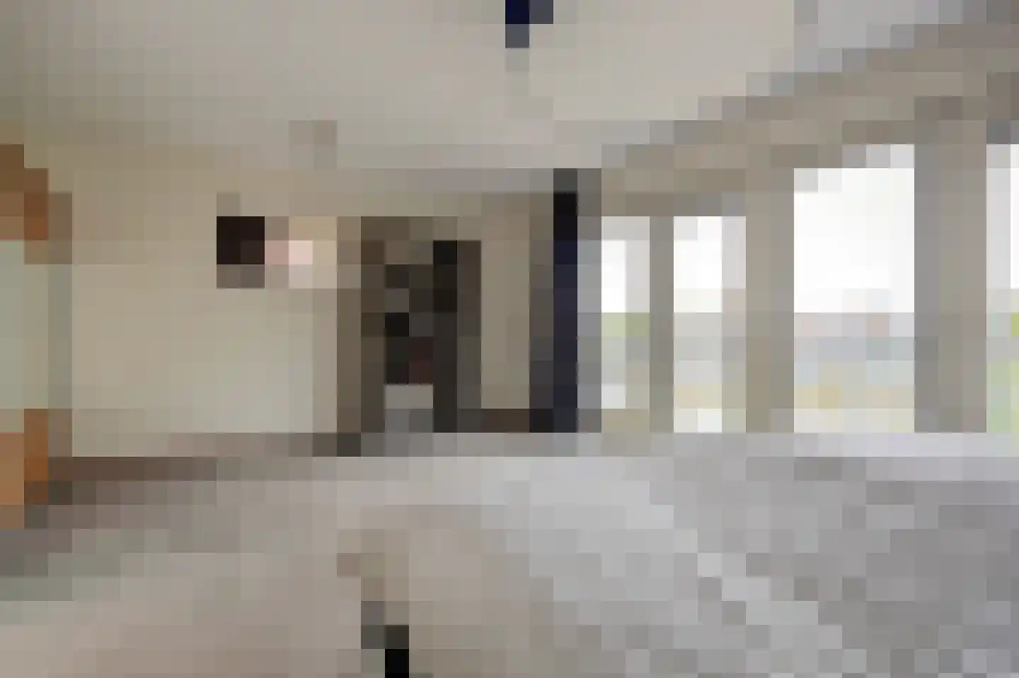 Forint 5 Dronten thumbnail 17