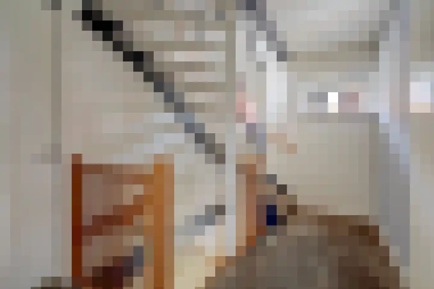 Forint 5 Dronten thumbnail 26