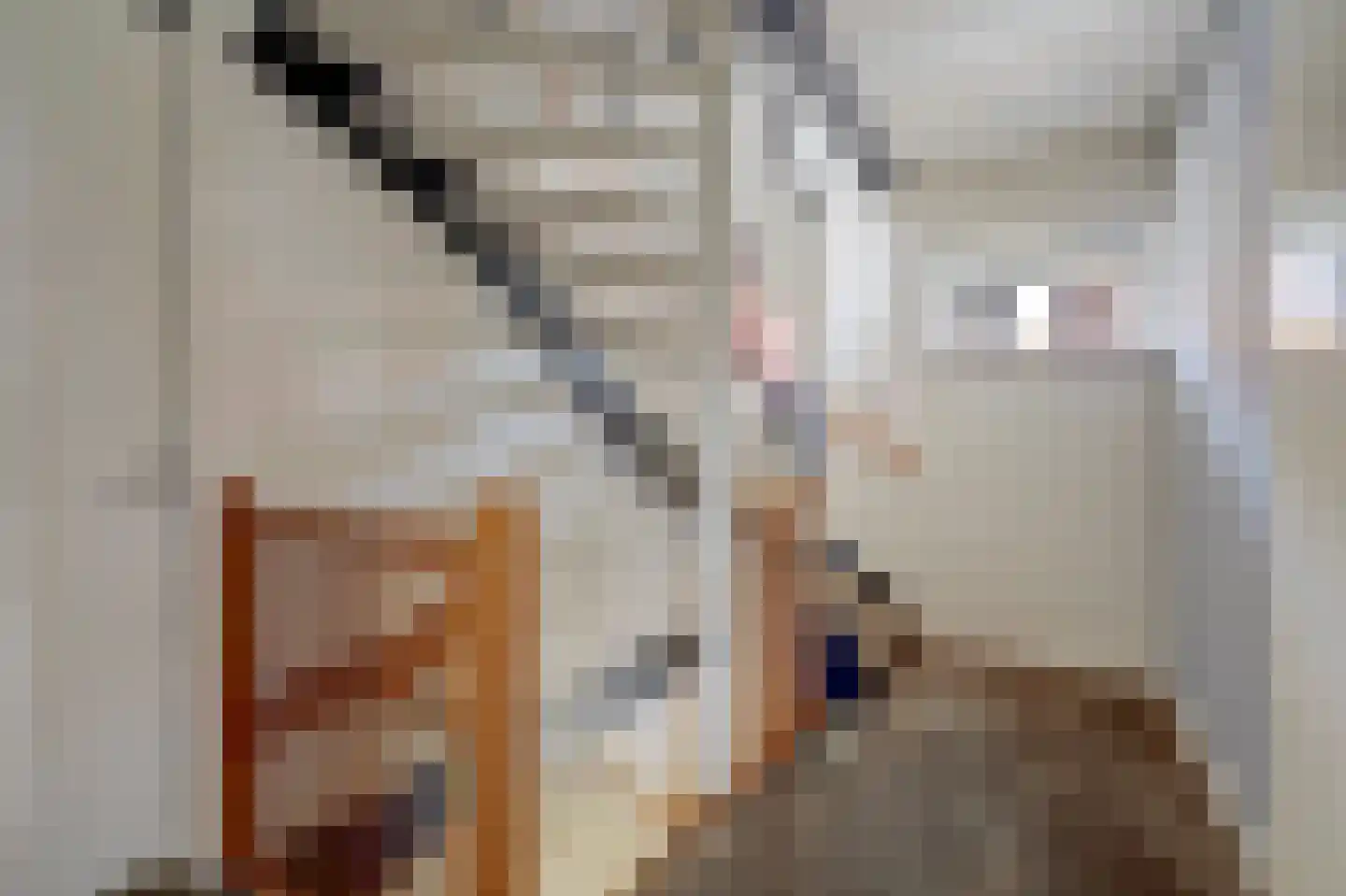 Forint 5 Dronten thumbnail 27