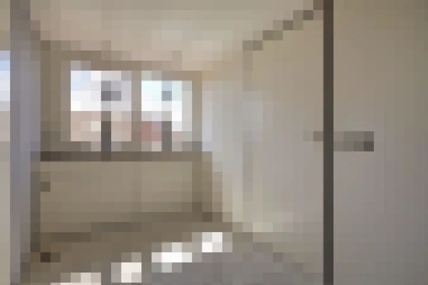 Forint 5 Dronten thumbnail 27