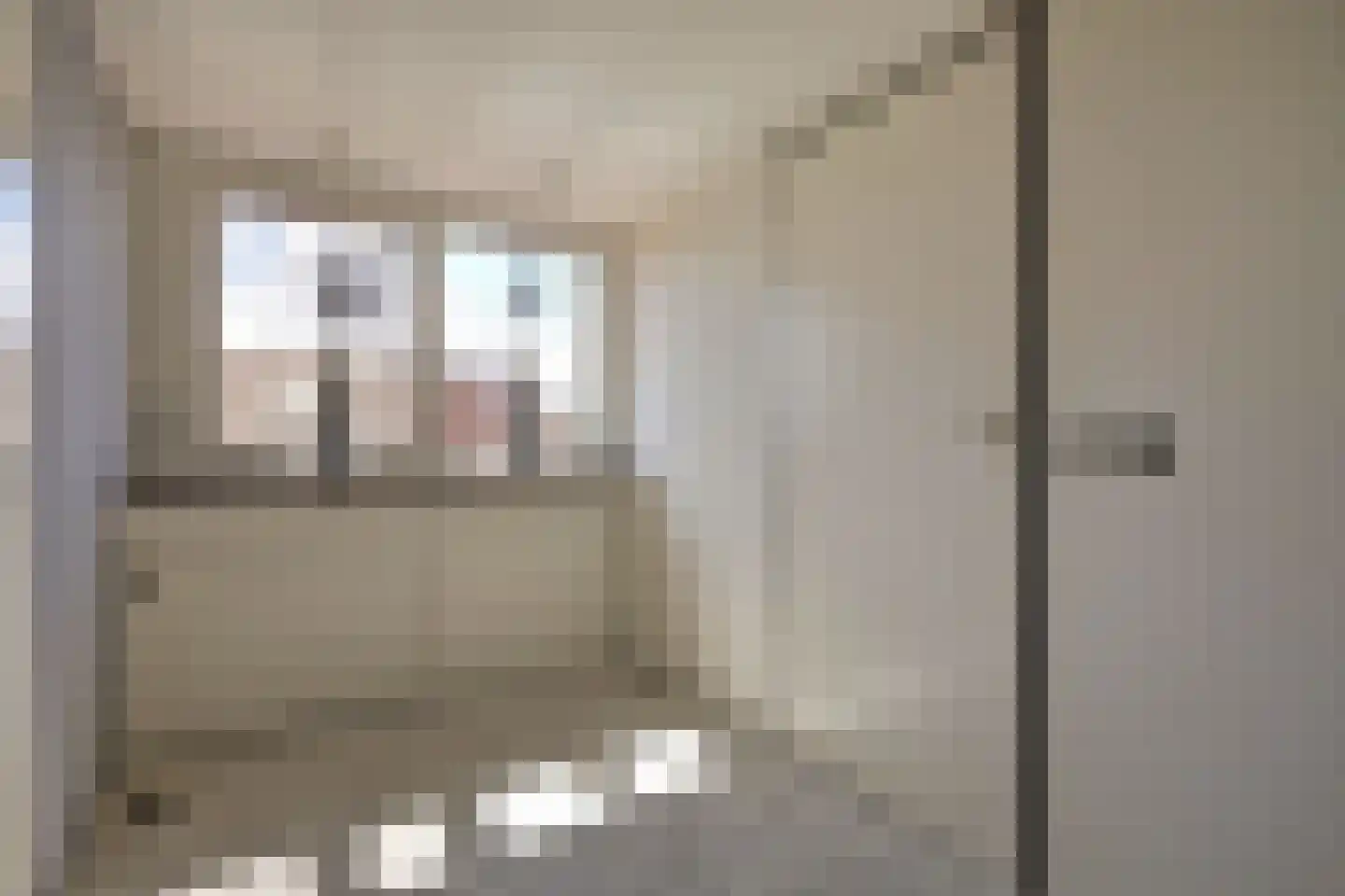 Forint 5 Dronten thumbnail 28