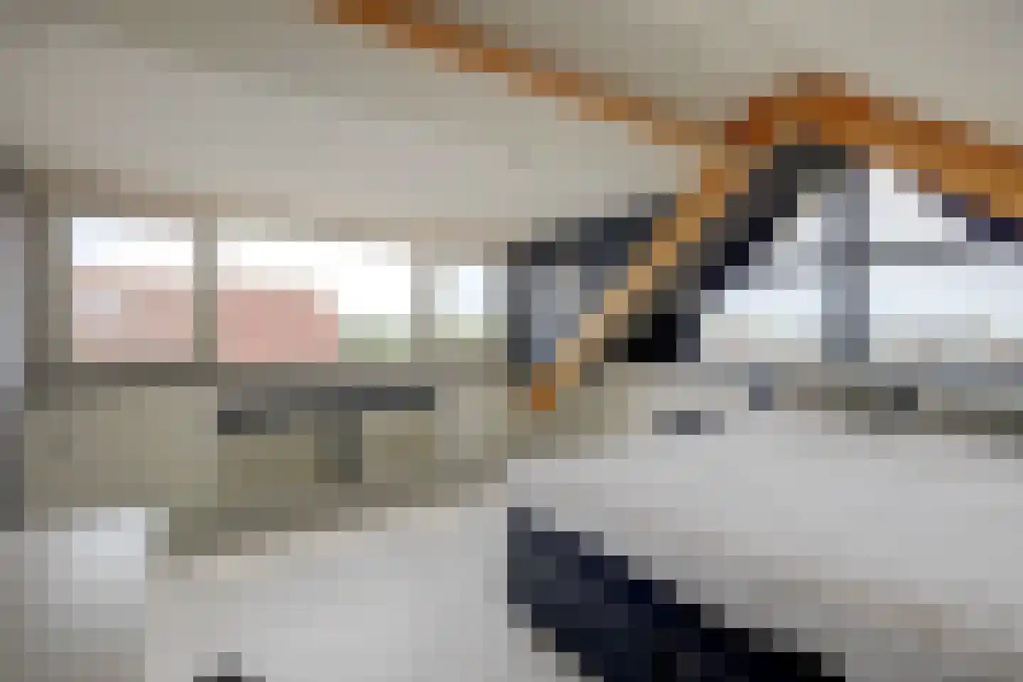 Forint 5 Dronten thumbnail 29