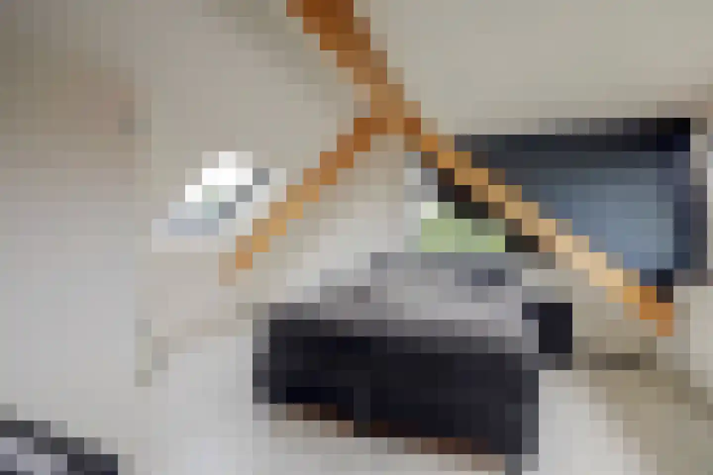 Forint 5 Dronten thumbnail 30
