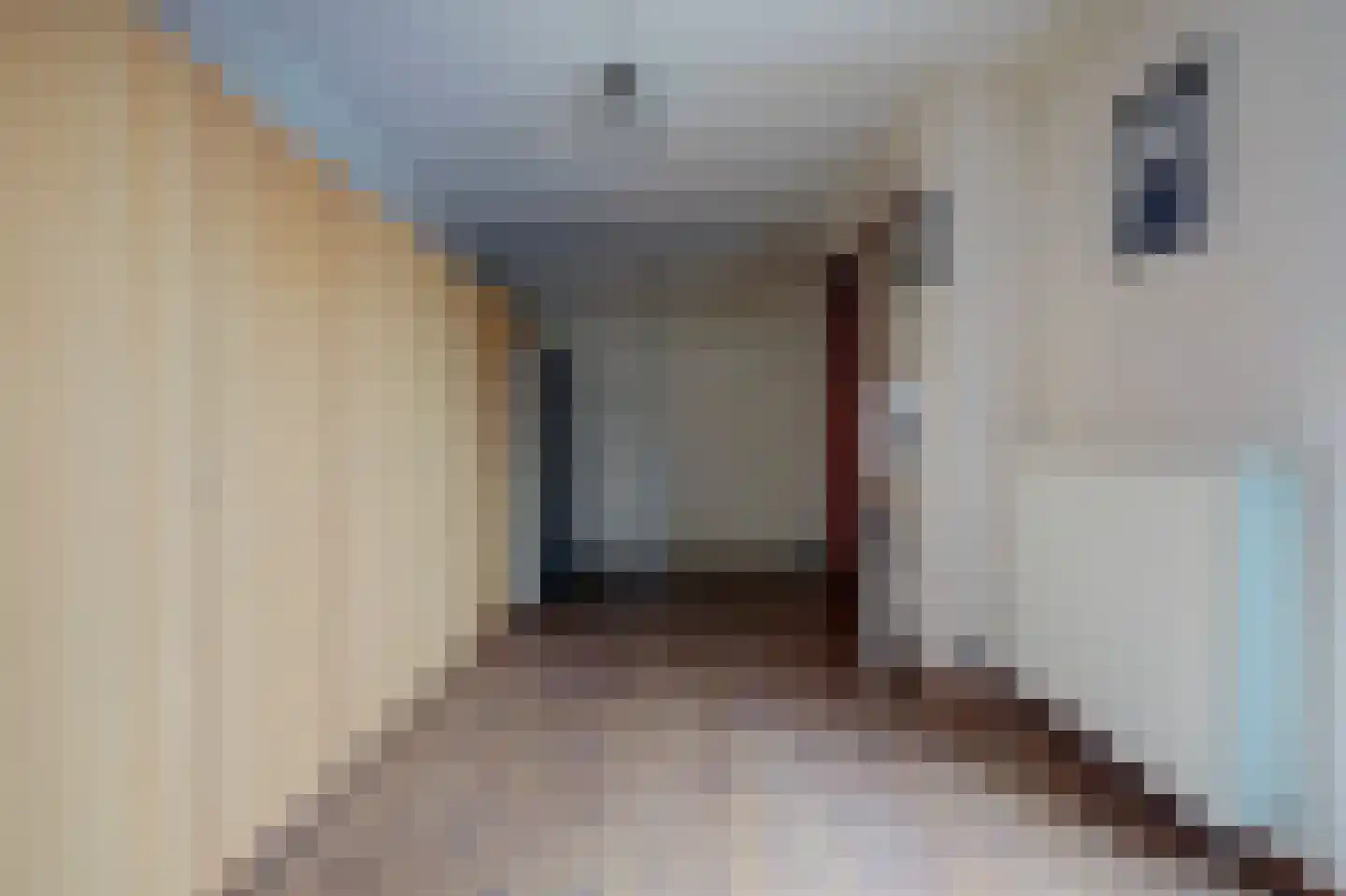 Forint 5 Dronten thumbnail 33