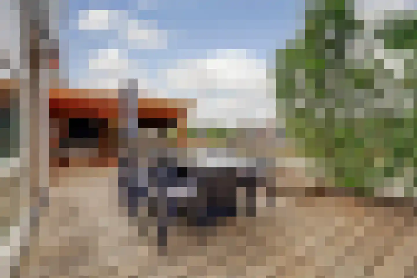 Forint 5 Dronten thumbnail 35