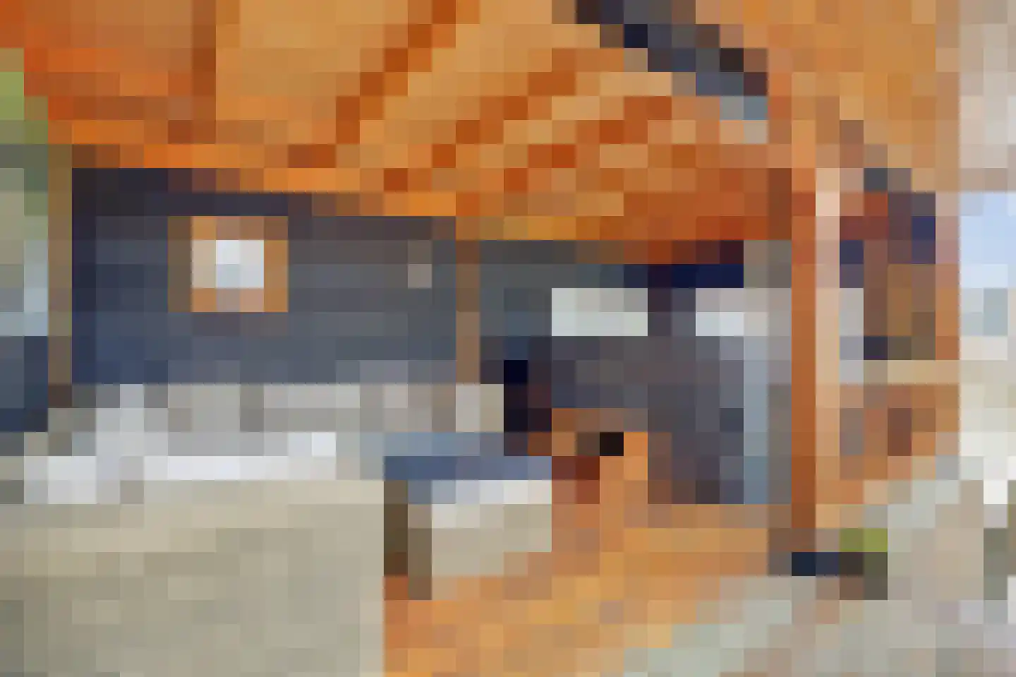 Forint 5 Dronten thumbnail 36