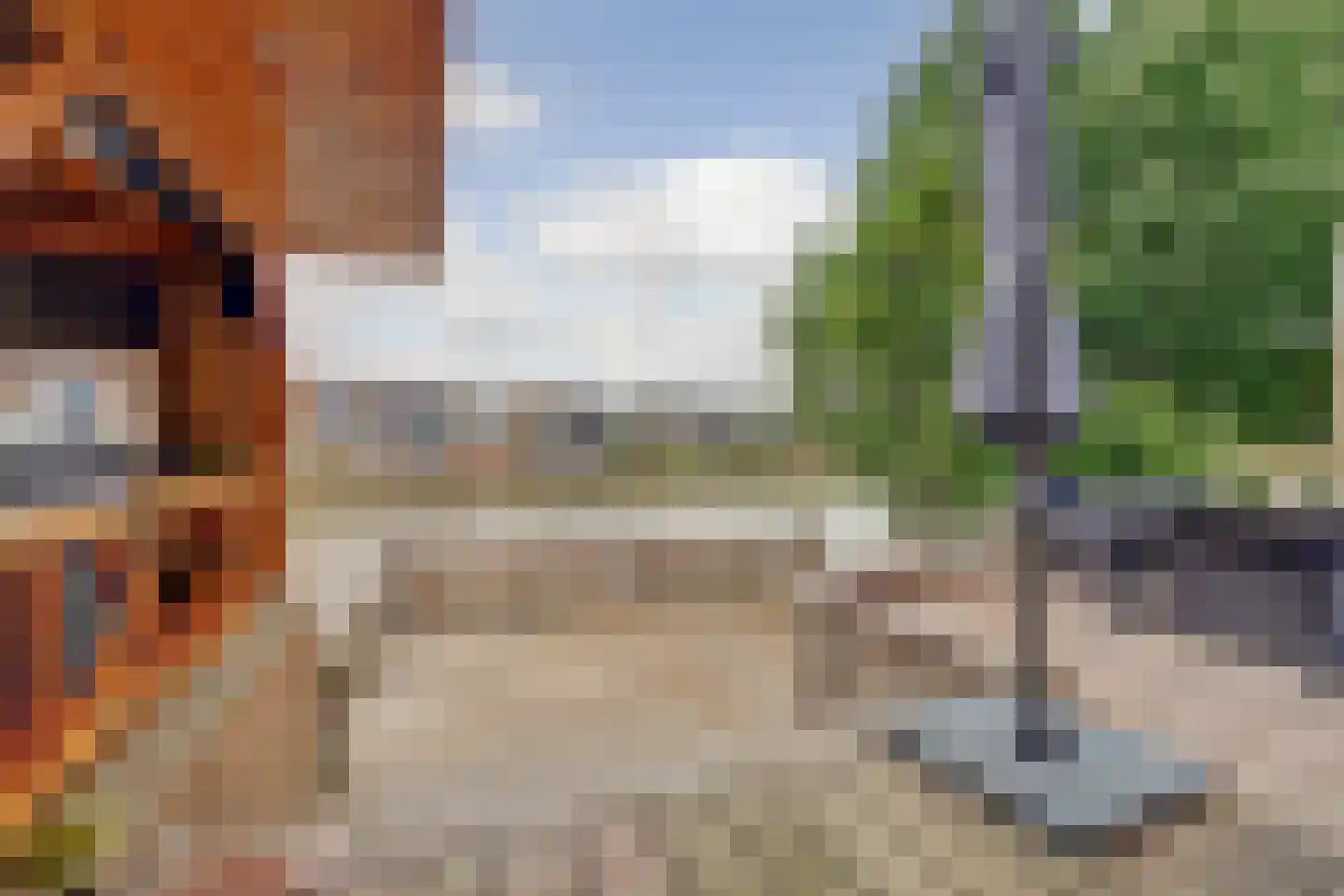Forint 5 Dronten thumbnail 39