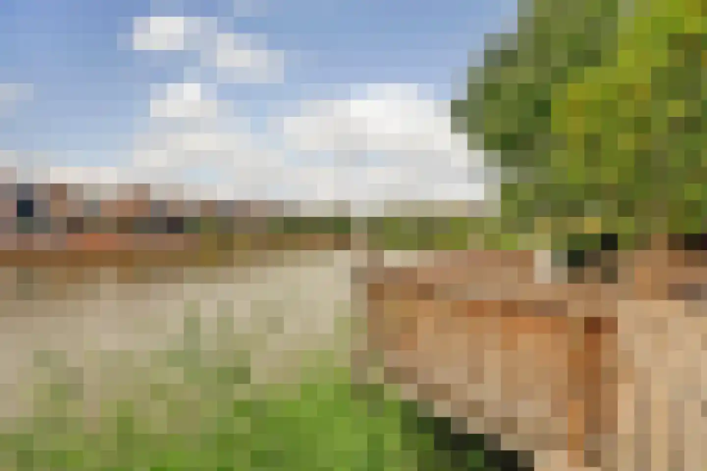 Forint 5 Dronten thumbnail 40