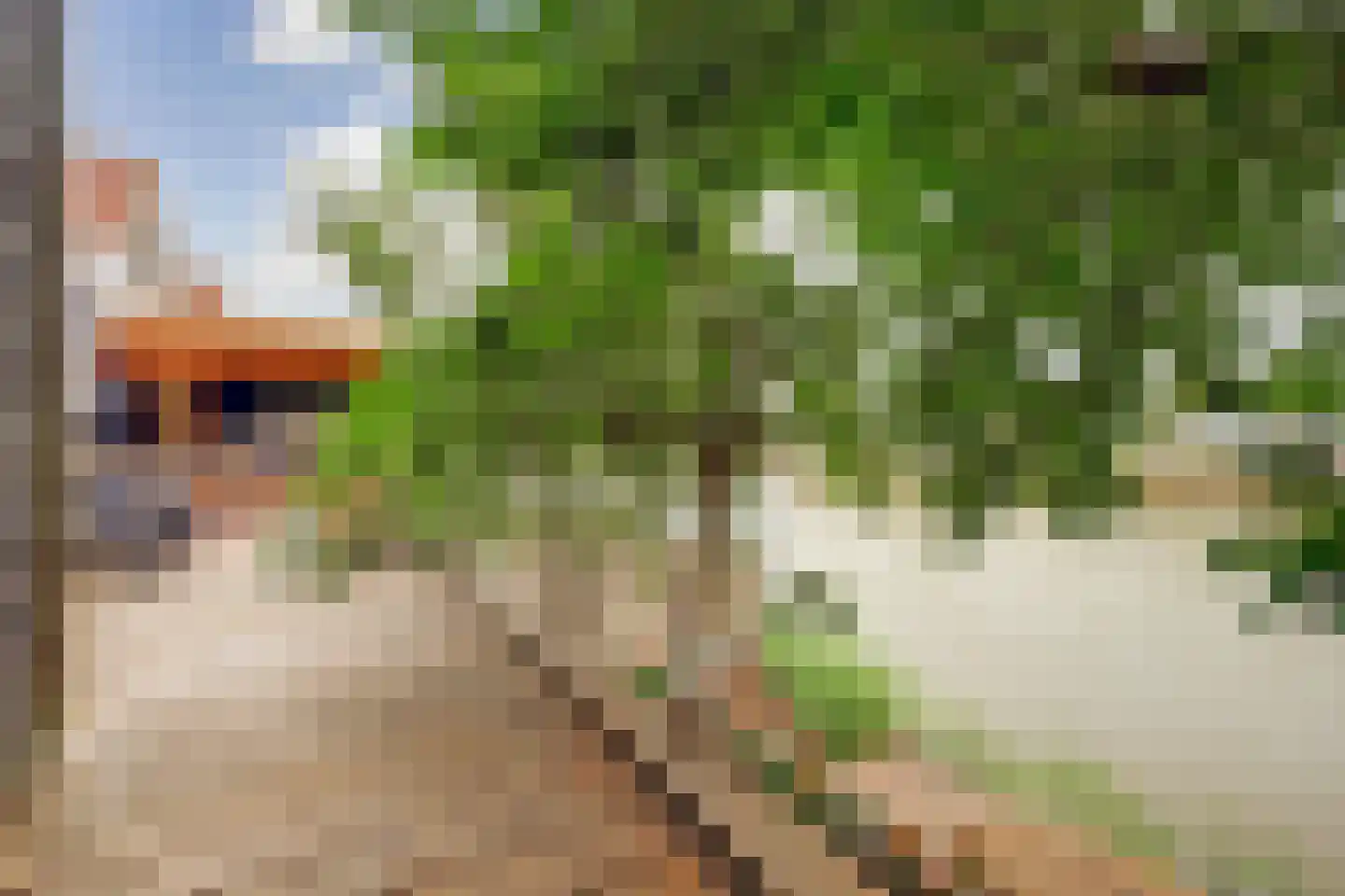 Forint 5 Dronten thumbnail 41