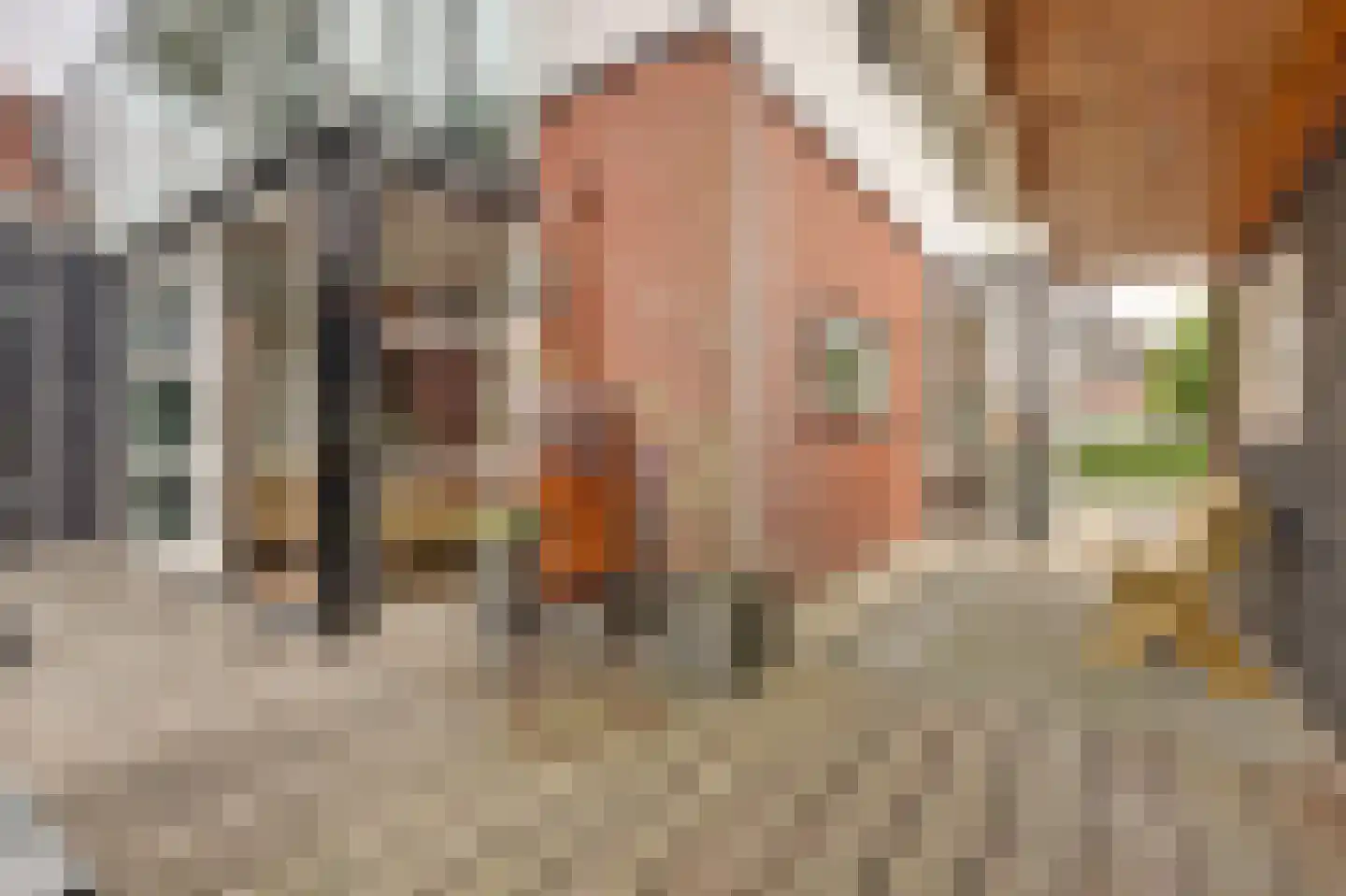 Forint 5 Dronten thumbnail 42