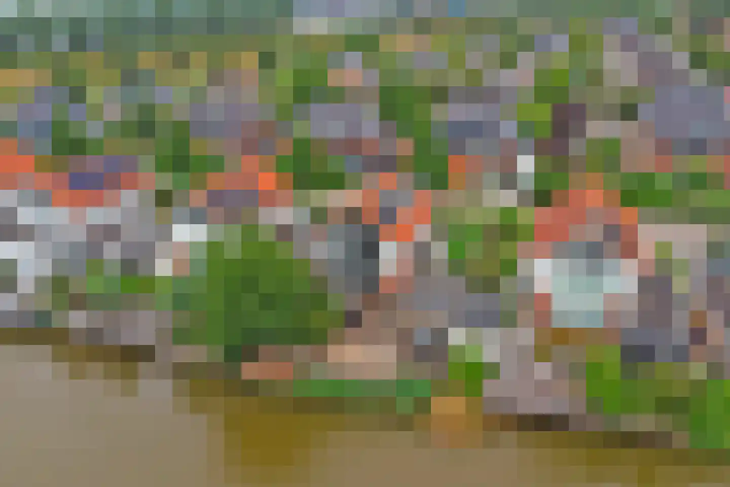 Forint 5 Dronten thumbnail 50