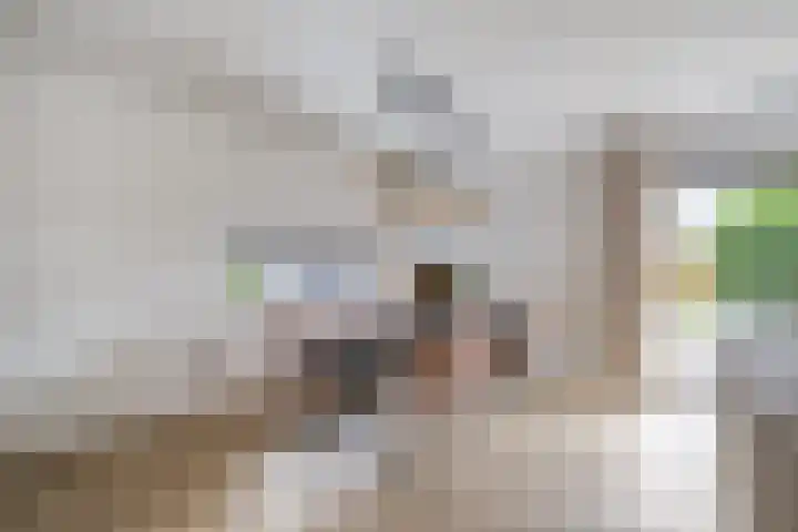 Forintdreef 1 Woerden thumbnail 10