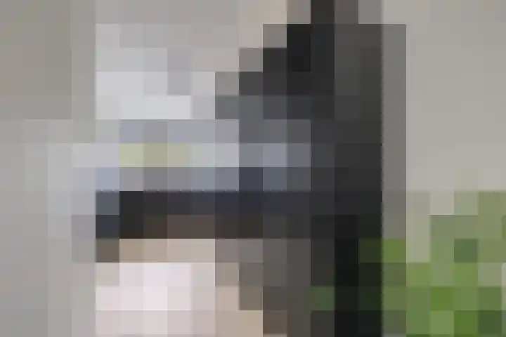 Forintdreef 1 Woerden thumbnail 11