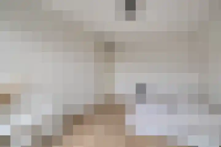 Forintdreef 1 Woerden thumbnail 19
