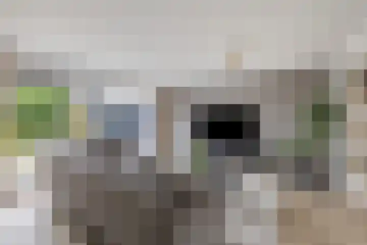 Forintdreef 1 Woerden foto 2